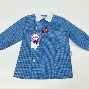 Grembiule asilo bambino con abbottonatura laterale quadretti azzurri Ambrosino ricamo Auto Q503