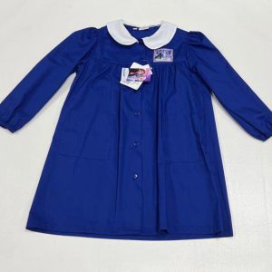 Grembiule scuola elementare Blu bambina Disney ricamo Frozen Made in Italy G202