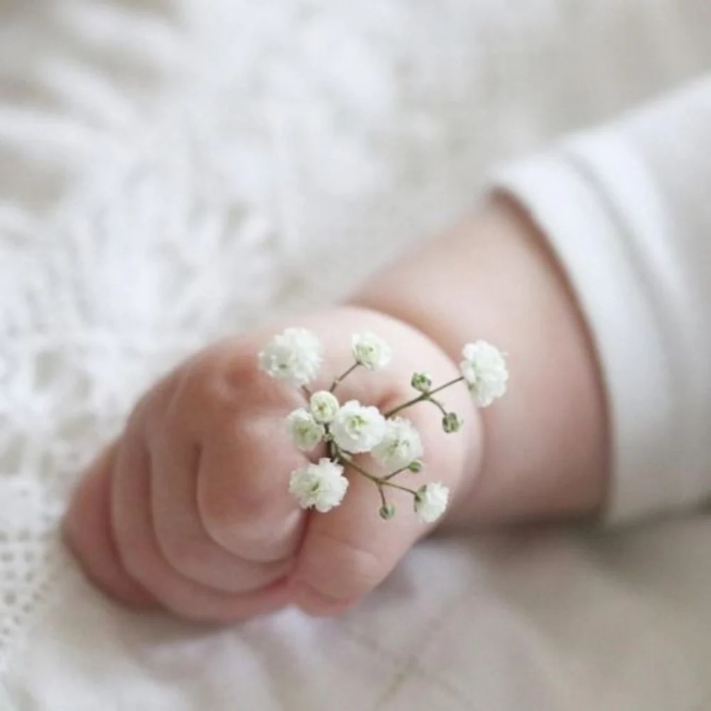 VITA, Acqua Botanica - immagine 7