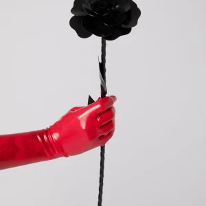 Rosa con stelo in Lattice